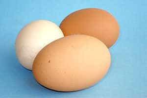 Vor und Nchteile von Kalorien in einem Ei