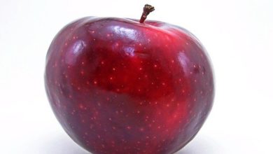 Photo of Apfel Kalorien und Nährwerte – Doppelt gesund als Multitalent.