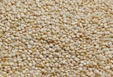 Photo of Wie viele Kalorien hat Quinoa?