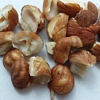 Die Erdnuss enthällt Vitamine und Mineralstoffe