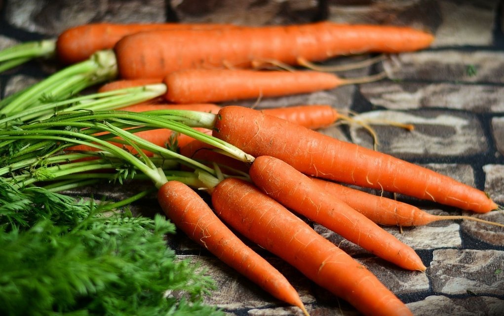 Karotten Kalorien und Nährwerte.Kohlenhydrate, Fett der von Möhren
