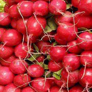 Das B-Vitamin ist wichtig für die Blutbildung und die Funktion von Schleimhäuten das bei Radieschen und Rettichenthalten ist.