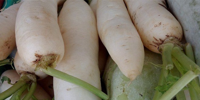 Radieschen Kalorien und Nährwerte - Gesund, Scharf und lecker