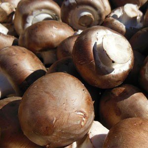 Früher galten Pilze als das typische Herbstgericht