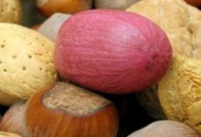 Photo of Pekannüsse, Kalorien und Nährwerte – die gesunde Steinfrucht