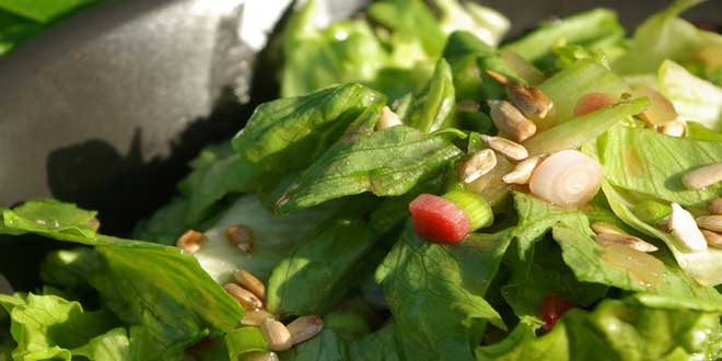 rhabarber salat ist lecker und gesund