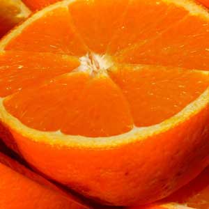 Danach werden die Vitamine in zwei Gruppen eingeteilt: in die Gruppe der fettlöslichen, speicherbaren Vitamine und die Gruppe der wasserlöslichen, nicht speicherbaren Vitamine.