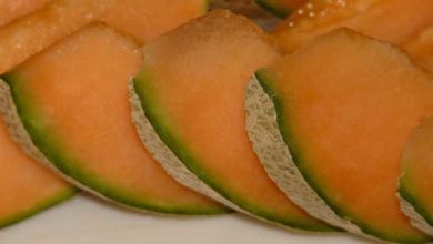 Photo of Honigmelone, Kalorien und Nährwerte der Vitaminreichen Frucht