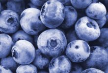 Photo of Blaubeeren, Kalorien und Nährwerte der blauen Gesundheitswunder
