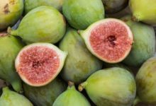 Photo of Feigen Kalorien und Nährwerte der gesunden Ficus carica