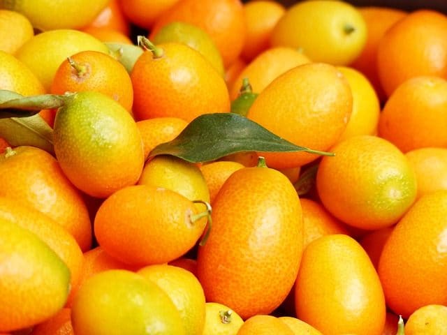 Die aus Asien stammende Kumquat wird oft als Dekoration für größere Gerichte verwendet.
