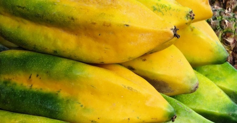Babaco Kalorien und Nährwerte der Berg-Papaya