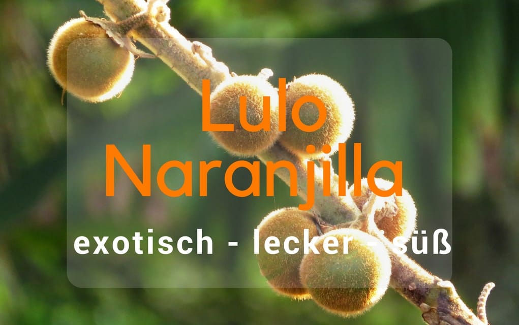 Kalorien und Nährwerte der Lulo Naranjilla