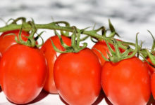 Photo of Tomaten Kalorien und Nährwerte der roten Powerfrucht