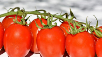 Photo of Tomaten Kalorien und Nährwerte der roten Powerfrucht