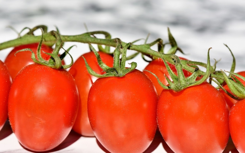 Tomaten Kalorien und Nährwerte der roten Powerfrucht